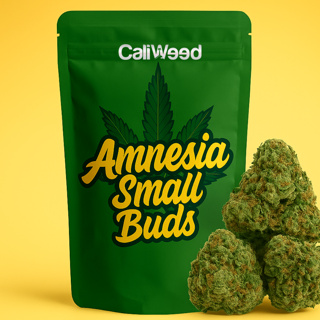 Amnesia Piccoli boccioli