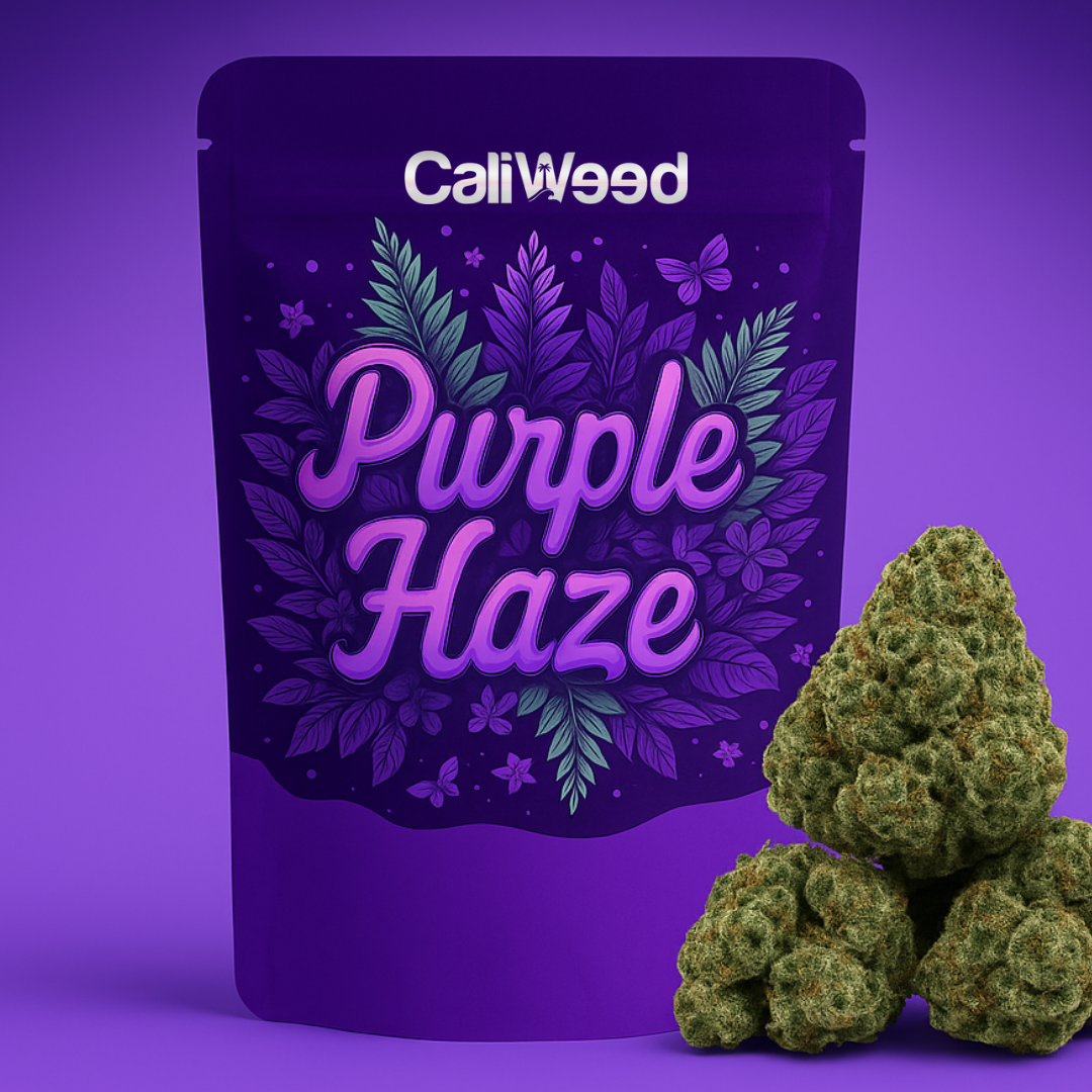 Boccioli piccoli di Purple Haze