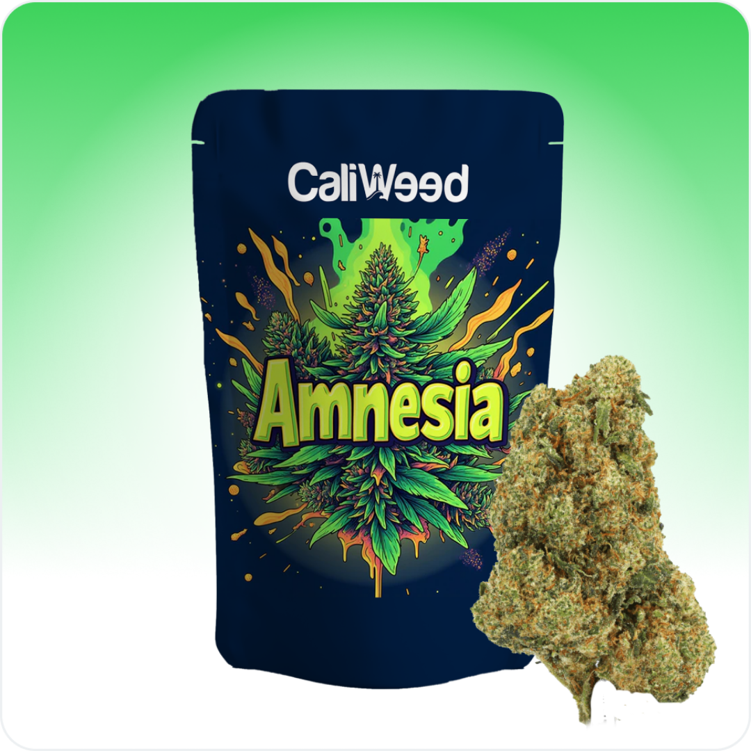 Amnesia CBD