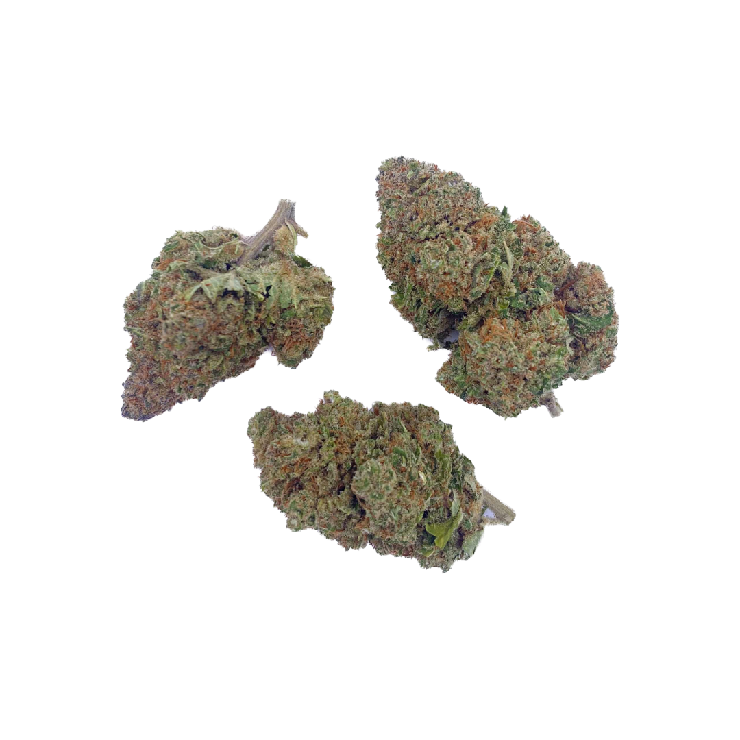 Biscotti Girl Scout CBD