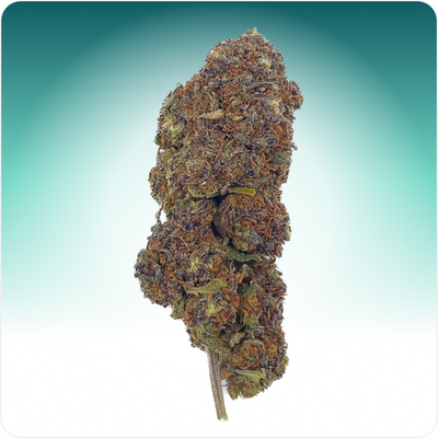 Luce del Nord Blu CBD