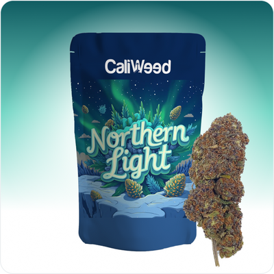 Luce del Nord Blu CBD