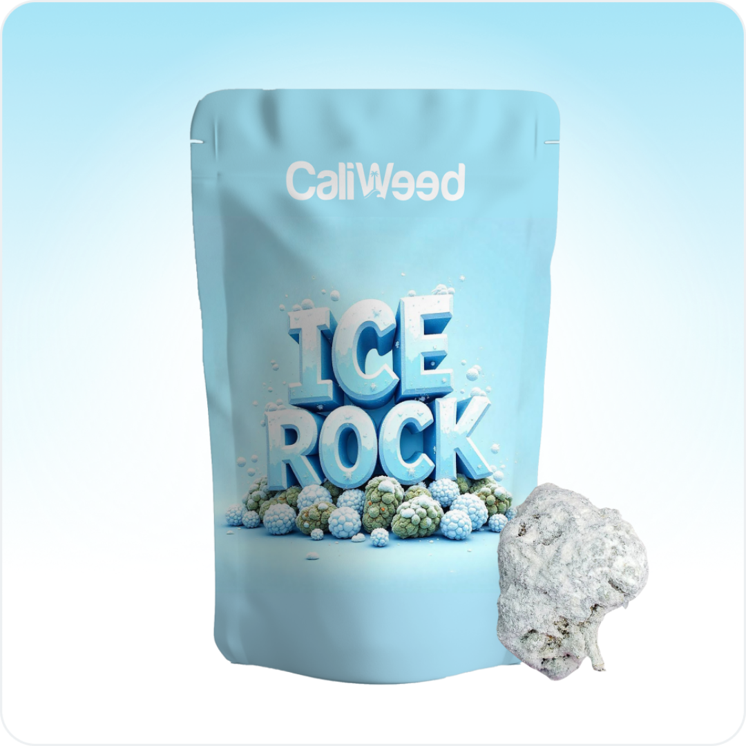 Piccoli boccioli di Ice Rock