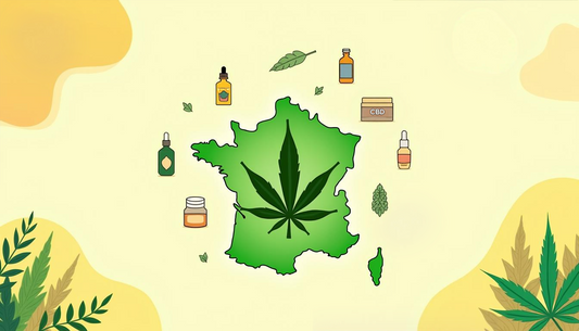 CBD in Francia