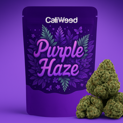 Boccioli piccoli di Purple Haze