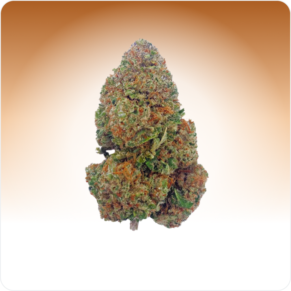 Biscotti Girl Scout CBD