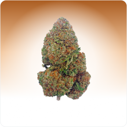 Biscotti Girl Scout CBD