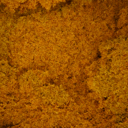 Giallo CBN
