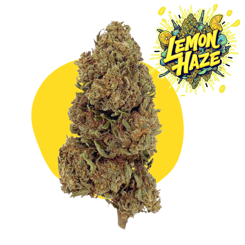 CBD Lemon Haze