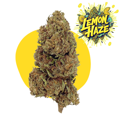 CBD Lemon Haze