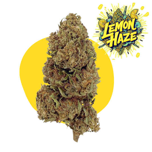 CBD Lemon Haze