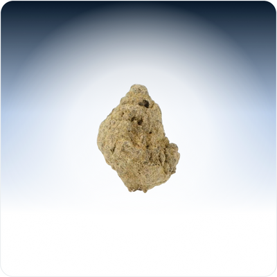 Moonrock Piccoli boccioli