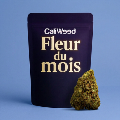 Fiore del mese CBD