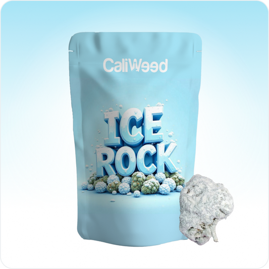 Piccoli boccioli di Ice Rock