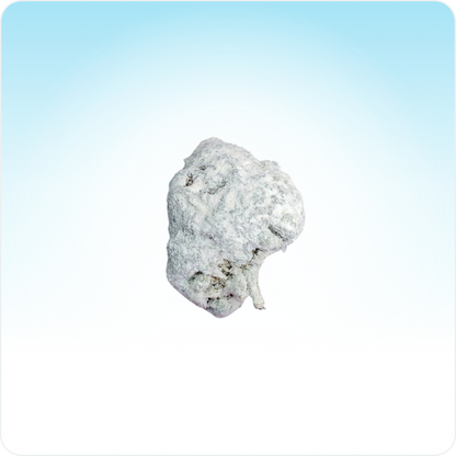 Piccoli boccioli di Ice Rock