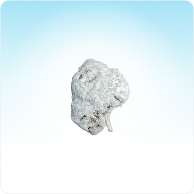 Piccoli boccioli di Ice Rock