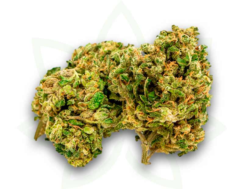 cbd nyc diesel indoor flower 3 5 10 20 50 grammi mafrenchweed 2